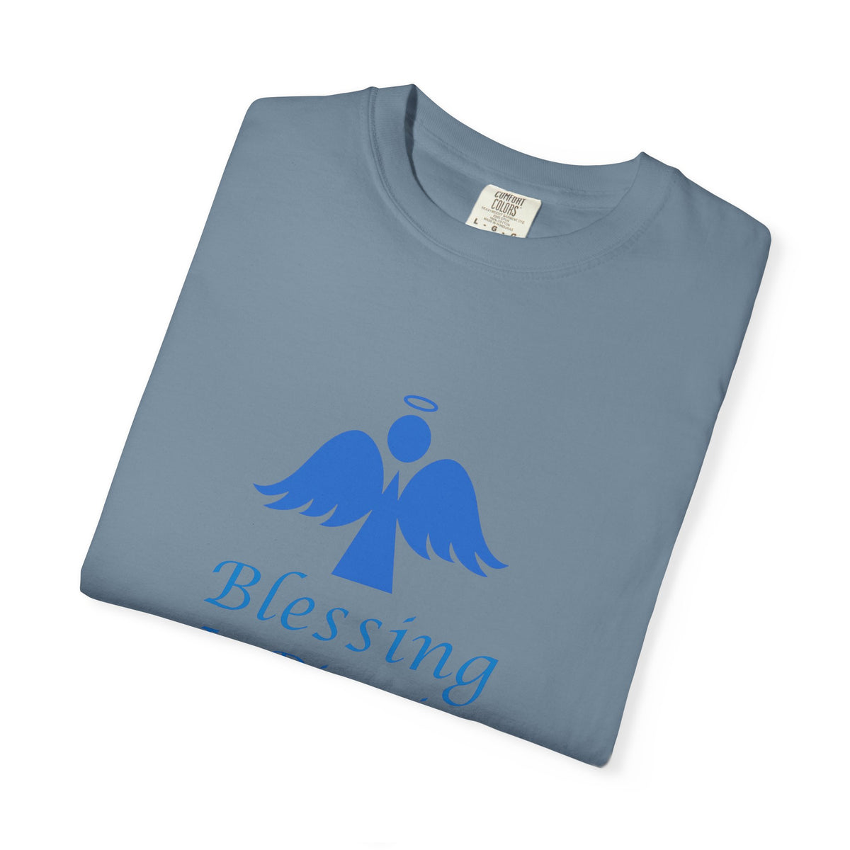 Blessing In Disguise - T-shirt