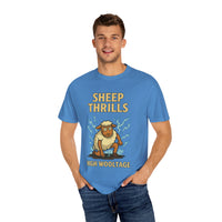 Sheep Thrills - Life's Sheep