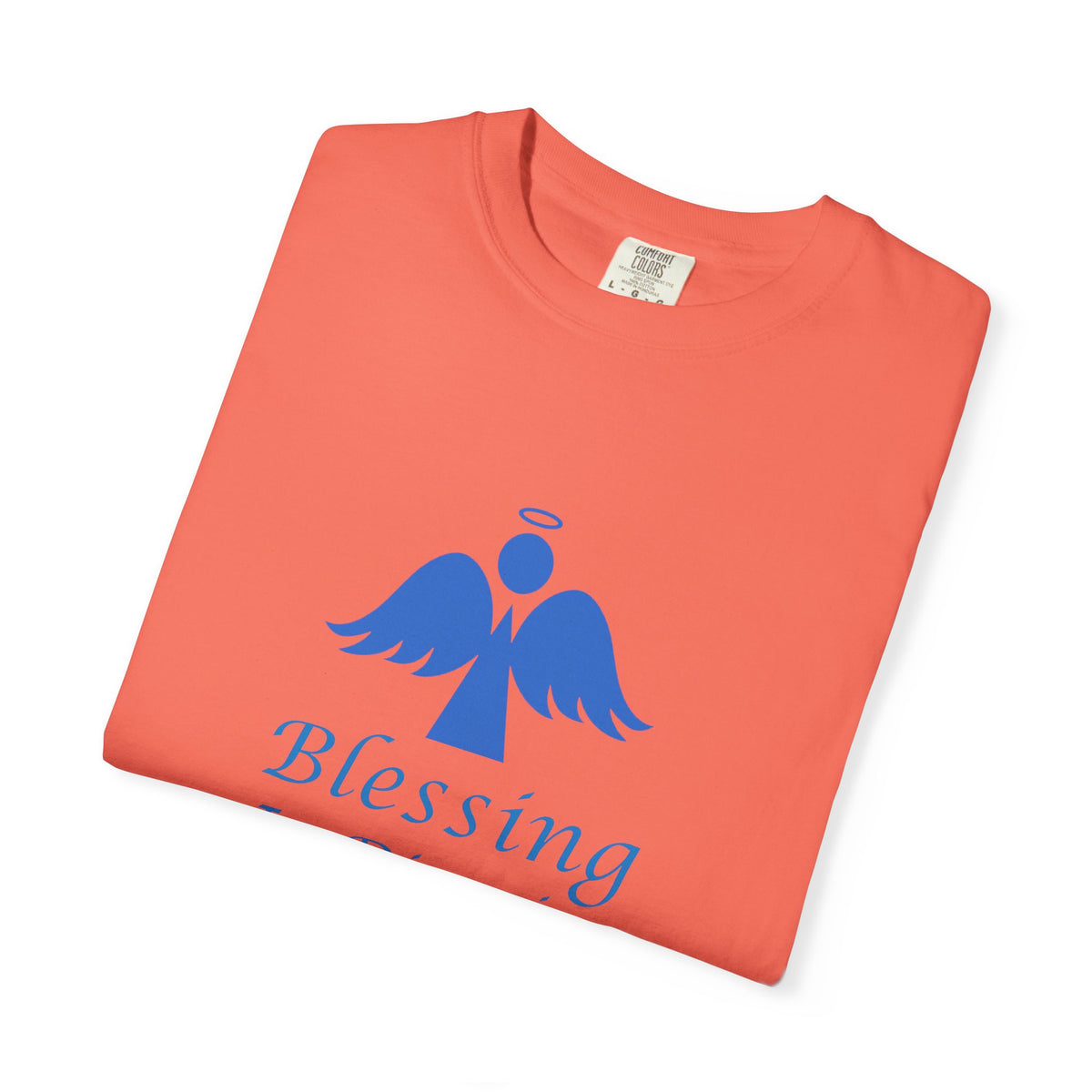 Blessing In Disguise - T-shirt