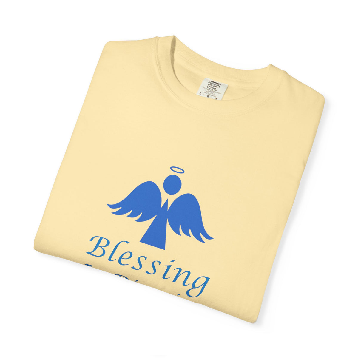 Blessing In Disguise - T-shirt